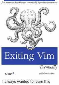 Vim meme